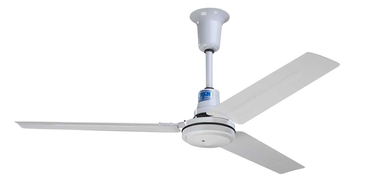 190C7.jpg