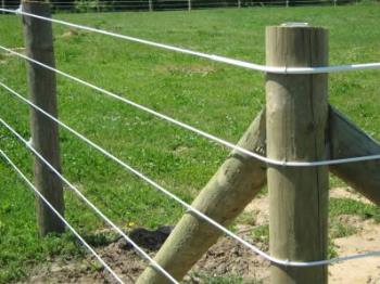 Unmarked Territories (Part 2): Finishing Our Fencing Project at RAMM