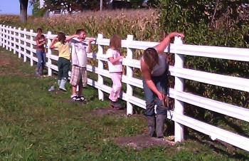 Horse Owners of 2011