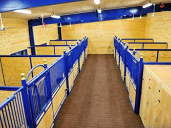 Boarding as a Business