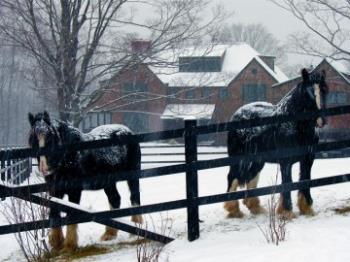 12 Top Tips for Winterizing your Horse Barn