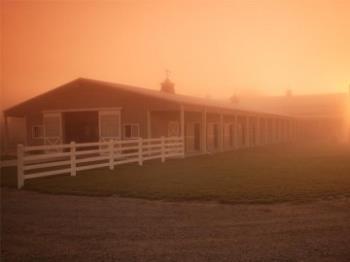 Finding the Right Help for Your Barn
