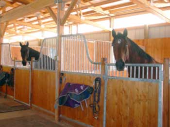 From Boarding to Your Barn