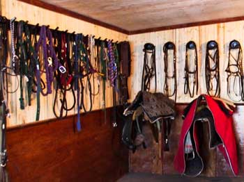 Get Organized in 2011