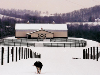 Get Your Fence, Stalls, and Barn Ready Before Winter Arrives