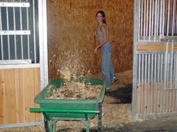 Get the Real Scoop on Stall Cleaning