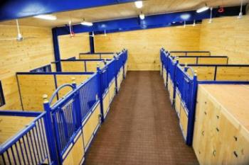 8 Top-Pick Accessories for Your Barn