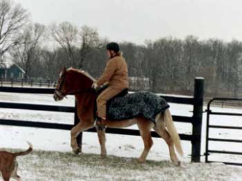 Winter Issues