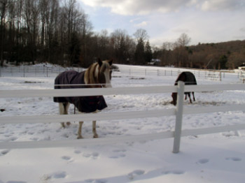 Winterize Your Fence