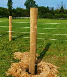 Posts: The Backbone of Your Fence System