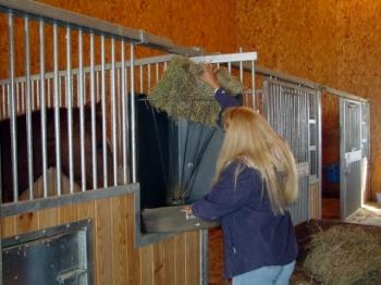5 Tips to Make Barn Chores Easier