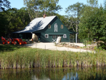 Things Every Barn Needs