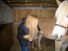 Debbie Grooming Wasabi