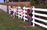 Horse Owners of 2011
