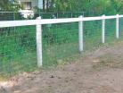 Non-Climb Mesh fencing with a white site rail