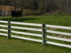Flex Fence, White - Four Rails Looking Beautiful!