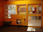 Inside view of a Welded horse stall looking out