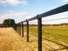 Coated wire with flex-fence top site rail
