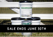 June Sale!