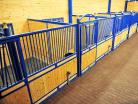 Over head view of powder coated blue nobleman horse stalls