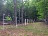 Electric Fencing Ideas That Will Work (And Will Fit Your Budget)