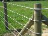 Unmarked Territories (Part 2): Finishing Our Fencing Project at RAMM