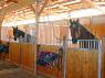 From Boarding to Your Barn