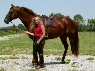 Whoa: Getting Your Horse to Stop