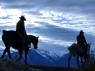 Top50 Ranches: The Equine Ambassador for Trips and Vacations