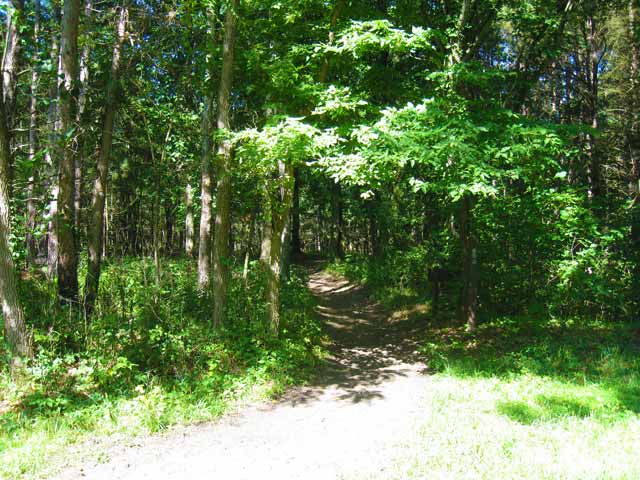 trail-web.jpg