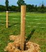 Posts: The Backbone of Your Fence System
