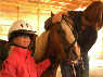Life Lessons With Our Horses