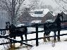 12 Top Tips for Winterizing your Horse Barn