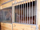 Medium view of a Pro-Line horse stall