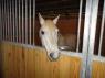 12 Tips for Winterizing Your Barn
