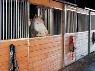 Making a Safer Stall For Your Horse