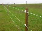 Medium view of white ElectroBraid fencing