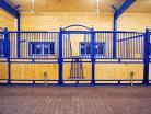 Front view of custom blue powder coated nobleman horse stall with open v-door
