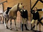 horse pictures