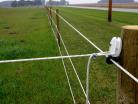 Close up view of an end strainer and ring insulator