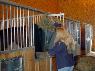 5 Tips to Make Barn Chores Easier