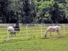 Electric tape is great for dividing pastures into sections