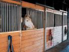 Establishing shot with multiple Standard horse stalls