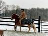 Winter Issues