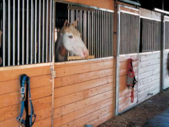 Stall Planning Pointers