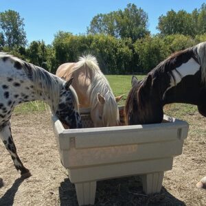 Horse Feeders