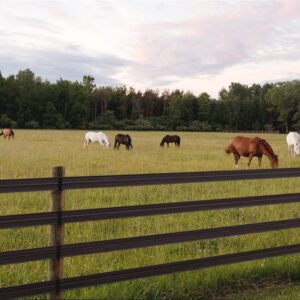 Fence