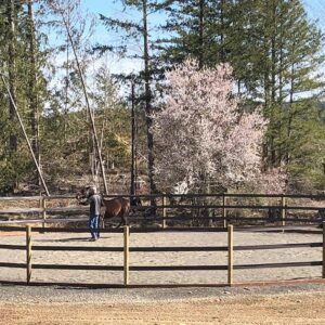 Horse Round Pens