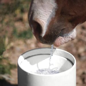 Waterers and Buckets