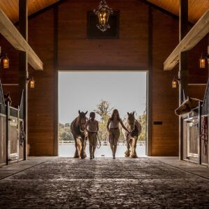 Designer Horse Stalls